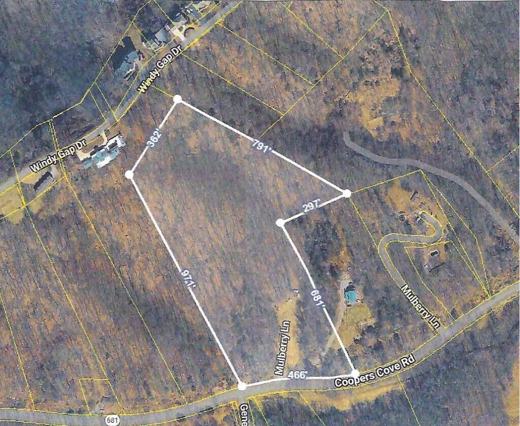 533 Coopers Cove Road Hardy, VA 24101 - Photo 4 of 12 533 Coopers Cove aerial jpg
