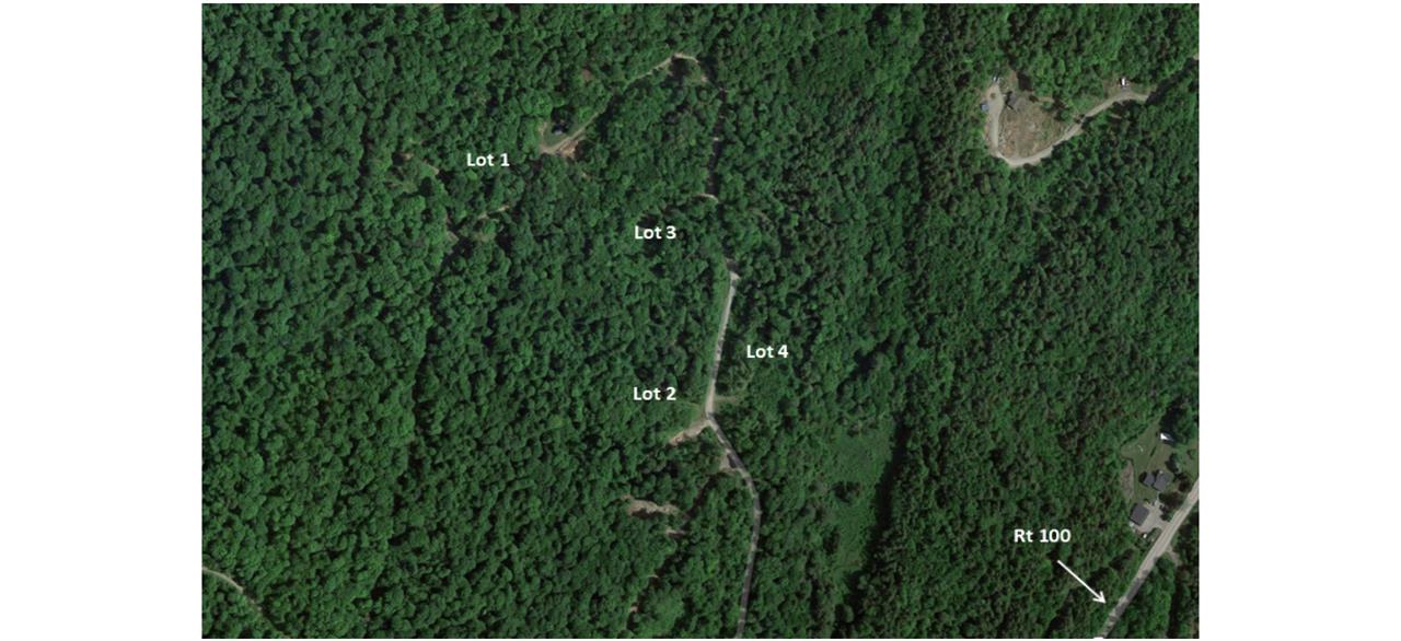 Lot 4 Berno Road, Unit LOT 4 Waterbury, VT 05676 - Photo 9 of 10 Gallery Image 9