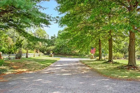 a view of a park with large trees