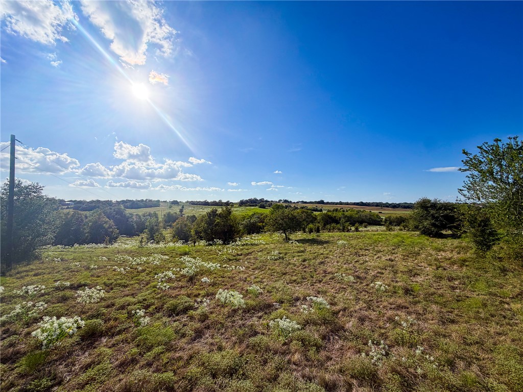 Tbd Oil Field Road Brenham, TX 77833 - Photo 2 of 32 Gallery Image 2
