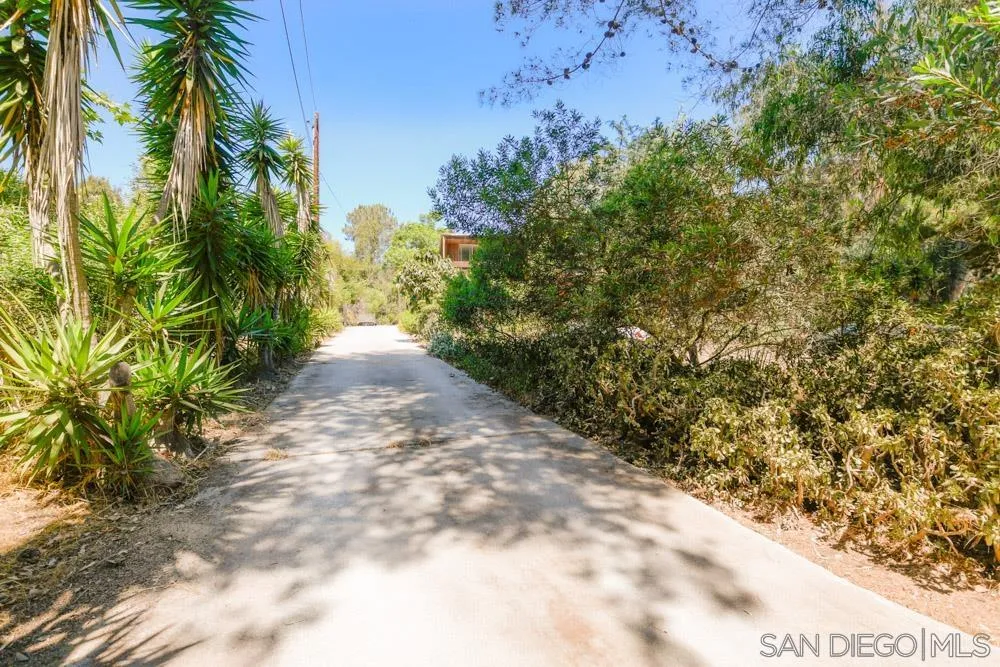 4954 Sun Valley Road Del Mar, CA 92014 - Photo 25 of 32 a view of a yard with plants and large trees