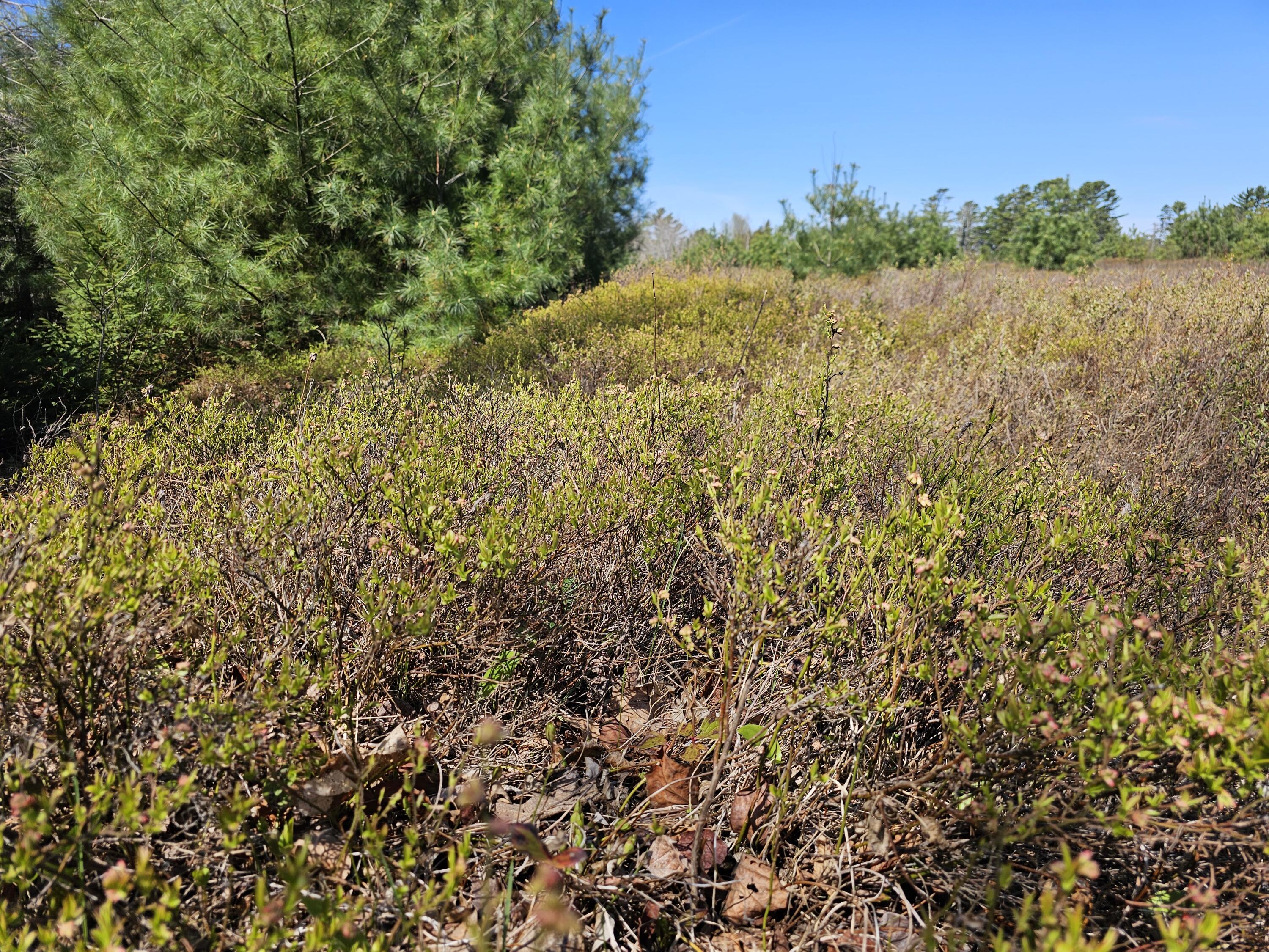 0 Georges Pond Road Franklin, ME 04634 - Photo 19 of 43 20250513_102531