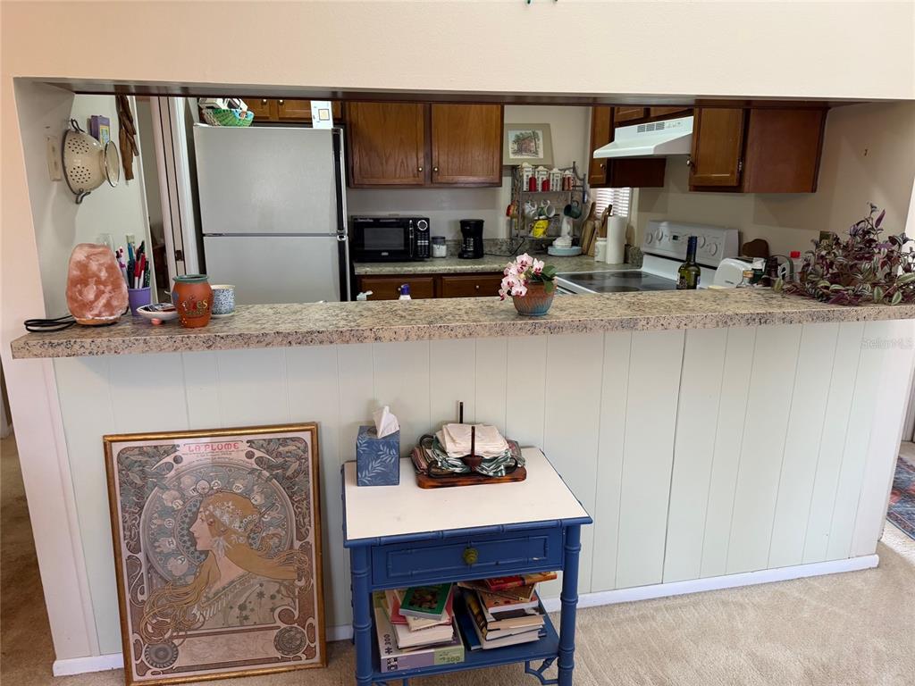 1051 South Highland Street, Unit 3D Mount Dora, FL 32757 - Photo 4 of 19