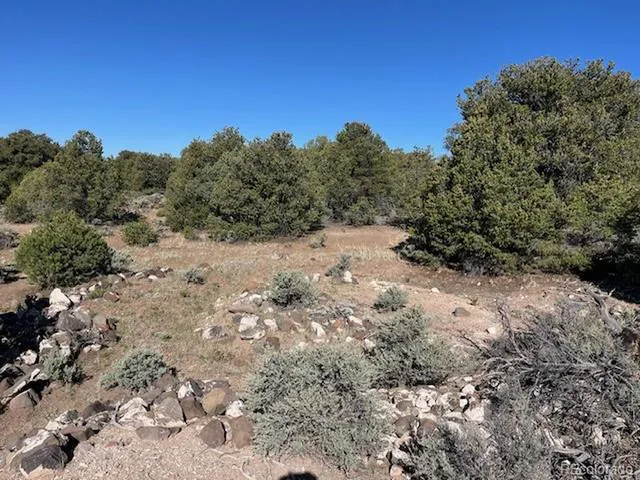 a view of a covered with trees in the background