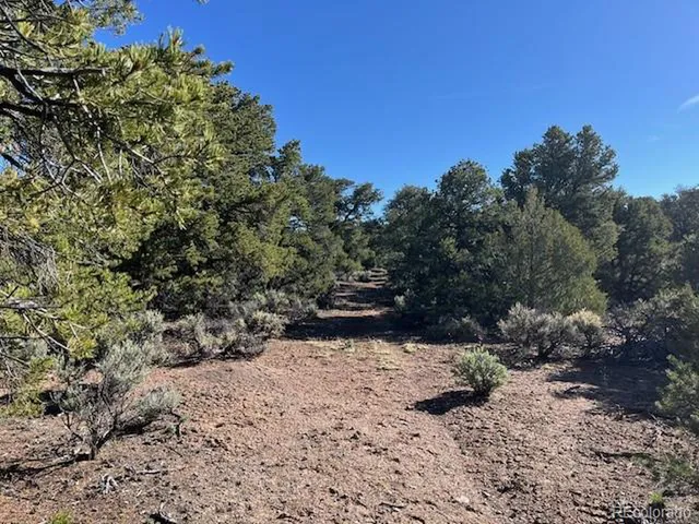 a view of a yard covered in snow