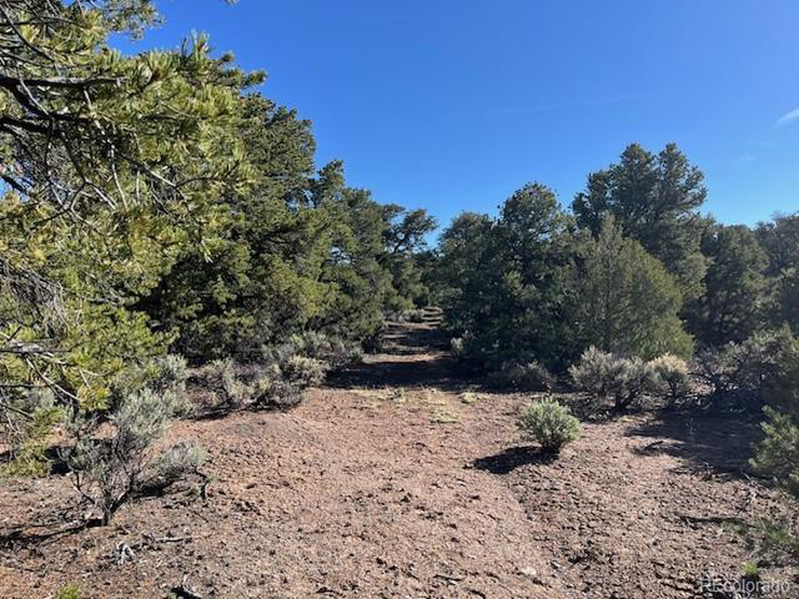 4 Elk Park Road San Luis, CO 81152 - Photo 15 of 30 a view of a yard covered in snow