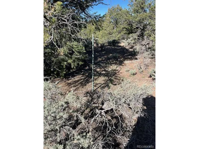 a view of a yard with wooden fence