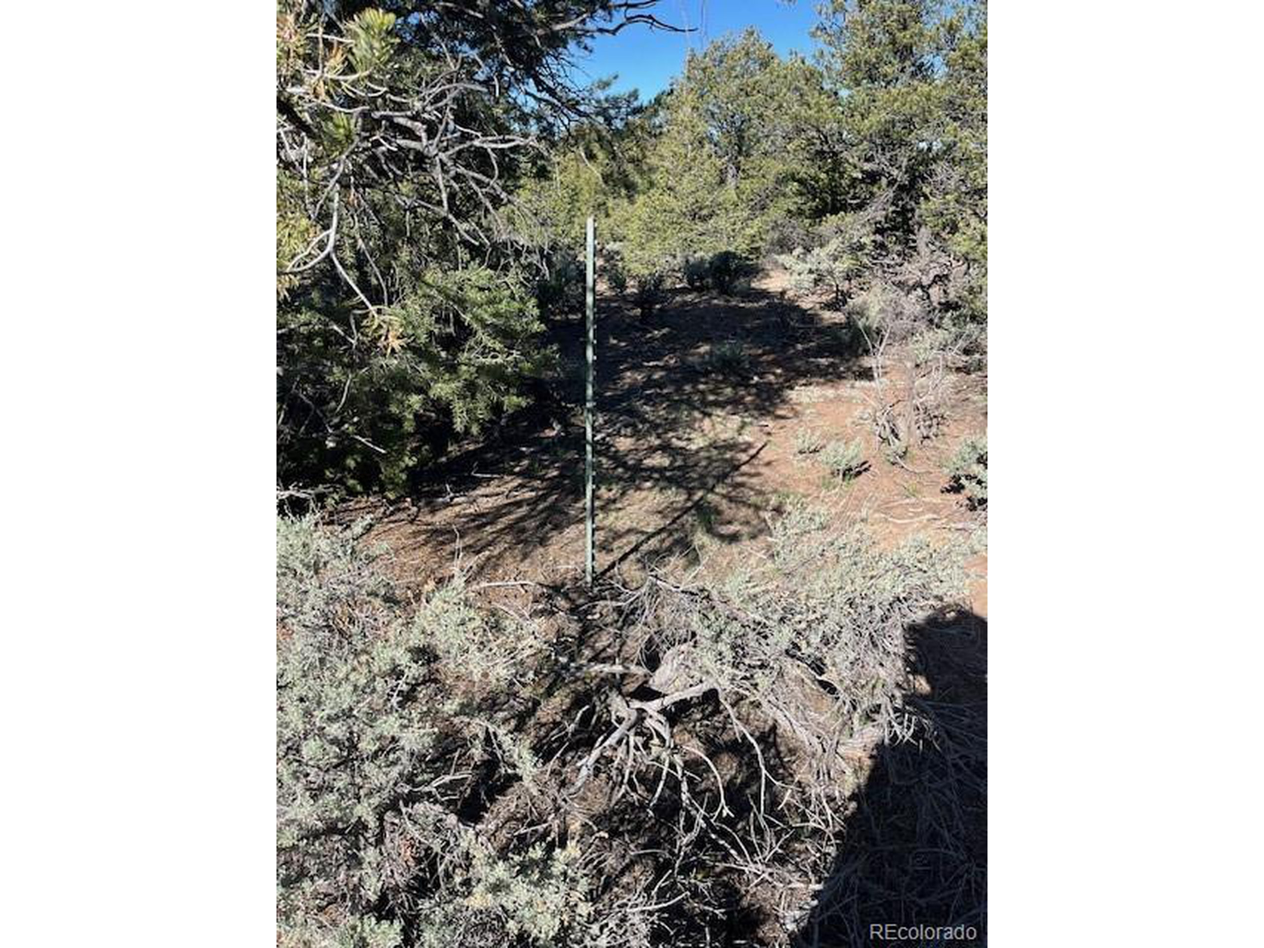 4 Elk Park Road San Luis, CO 81152 - Photo 17 of 30 a view of a yard with wooden fence