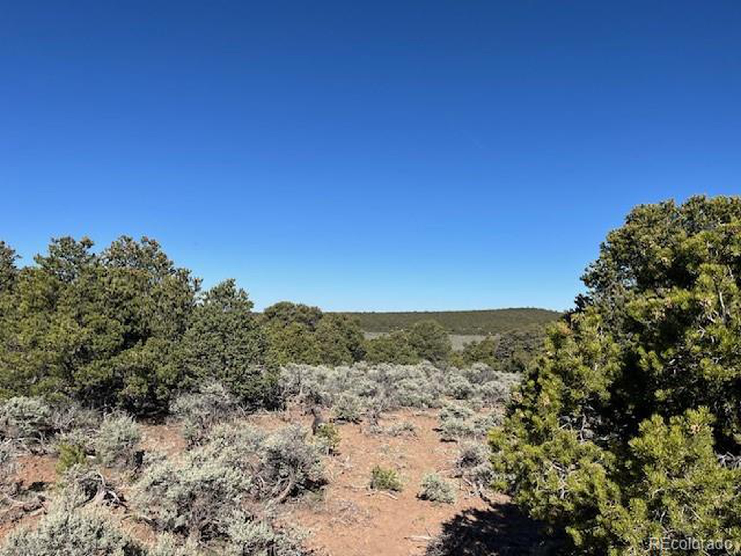 4 Elk Park Road San Luis, CO 81152 - Photo 18 of 30 a view of a field with an ocean
