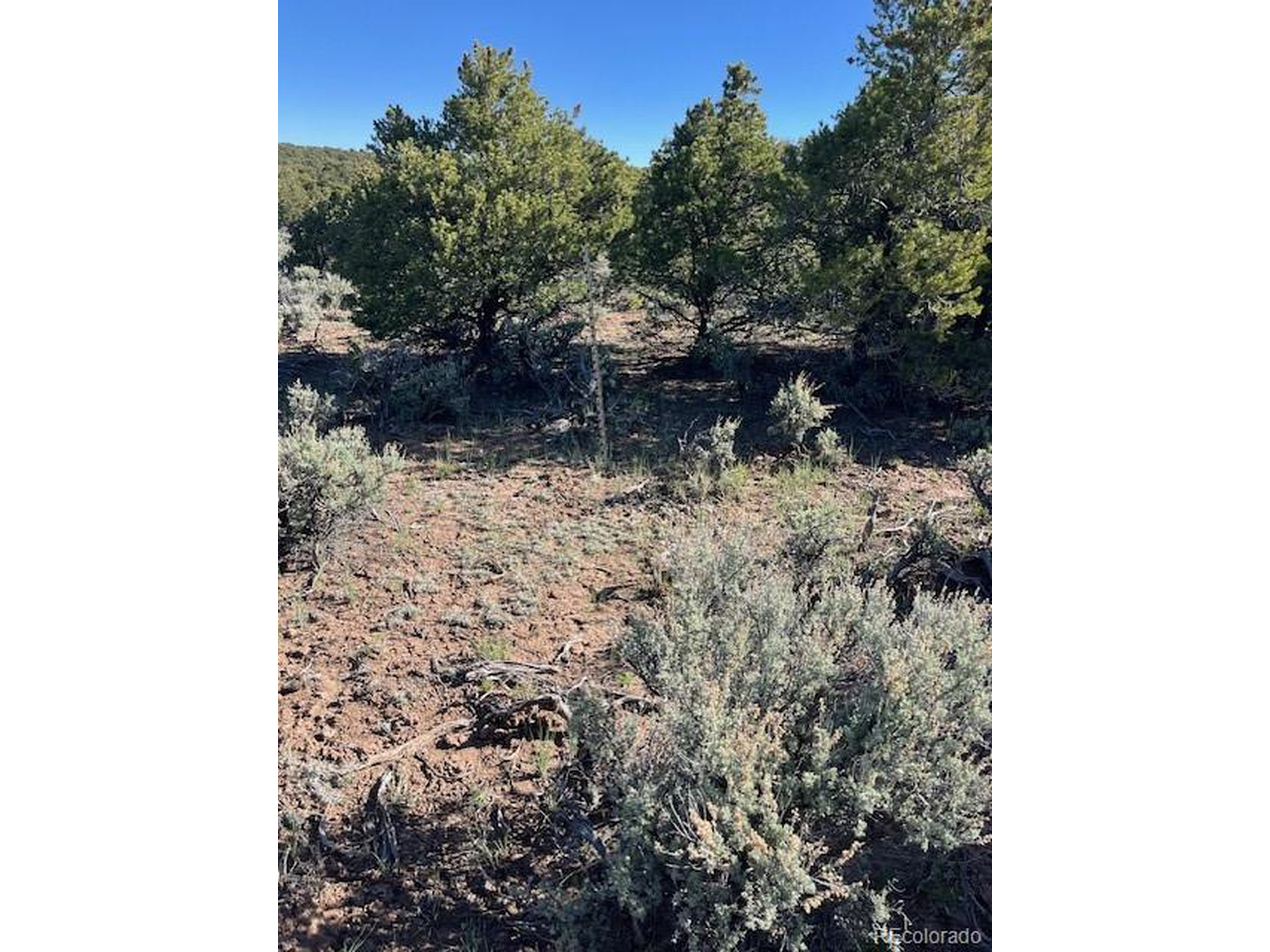 4 Elk Park Road San Luis, CO 81152 - Photo 21 of 30 a view of a yard with plants and a bench