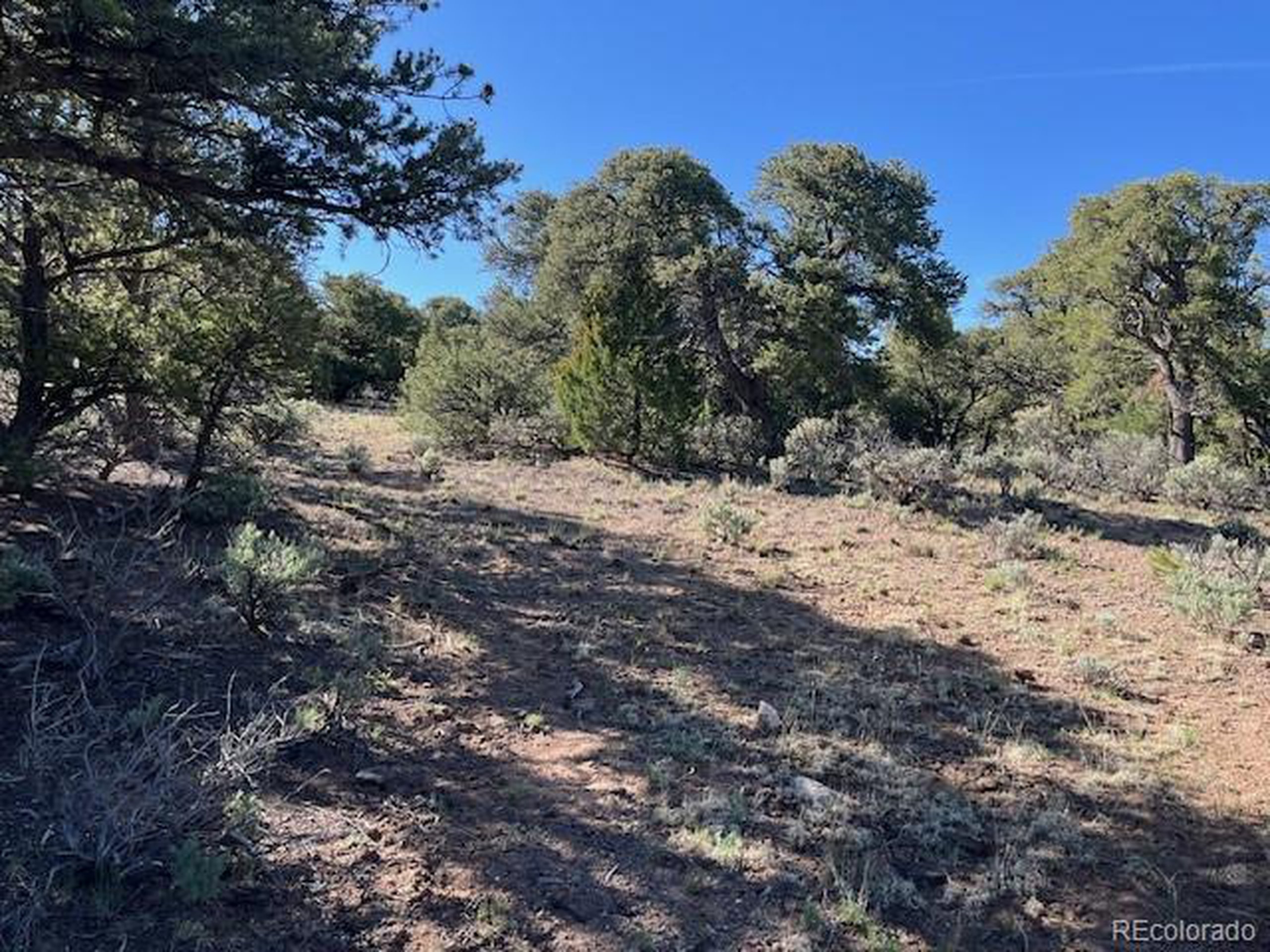 4 Elk Park Road San Luis, CO 81152 - Photo 25 of 30 a view of a yard with a tree