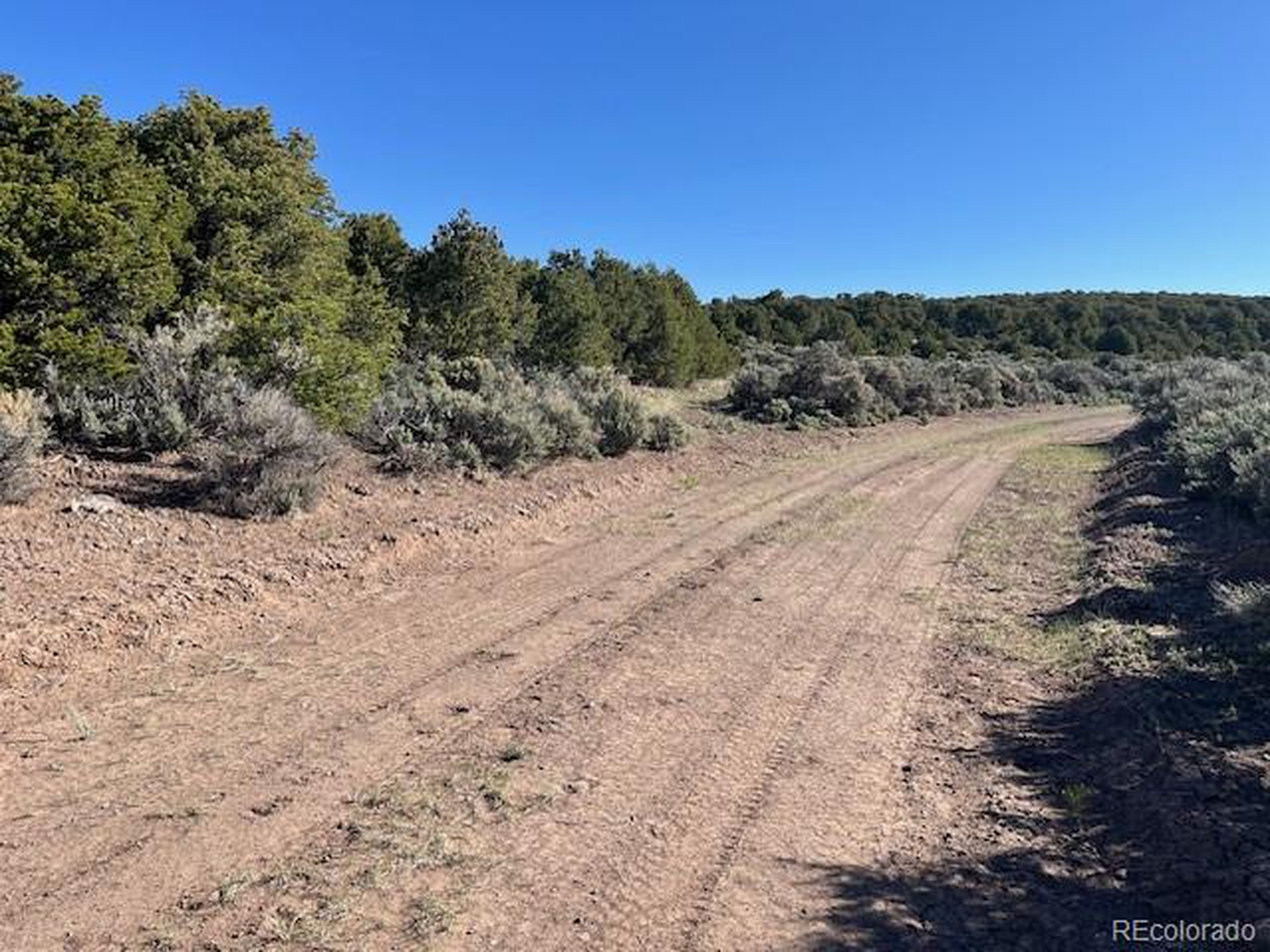 4 Elk Park Road San Luis, CO 81152 - Photo 4 of 30 a view of a dry yard with wooden fence