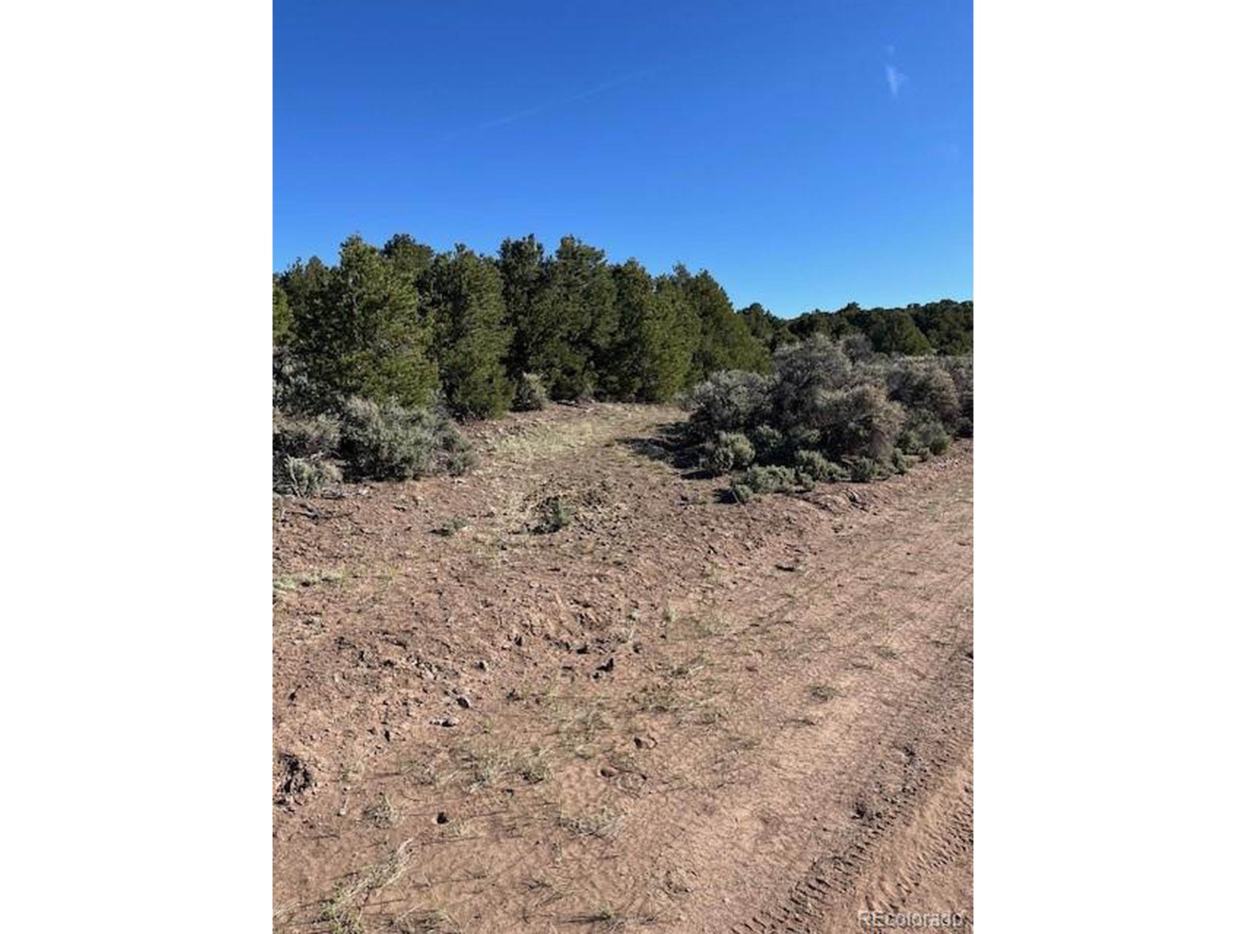 4 Elk Park Road San Luis, CO 81152 - Photo 5 of 30 a view of a backyard of a house