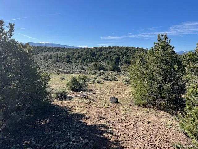 a view of a dry yard with lots of bushes