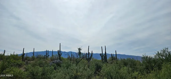 $339,000 | 2510 North Avenida Sorgo Street North, Unit 97, Tucson, AZ 85749