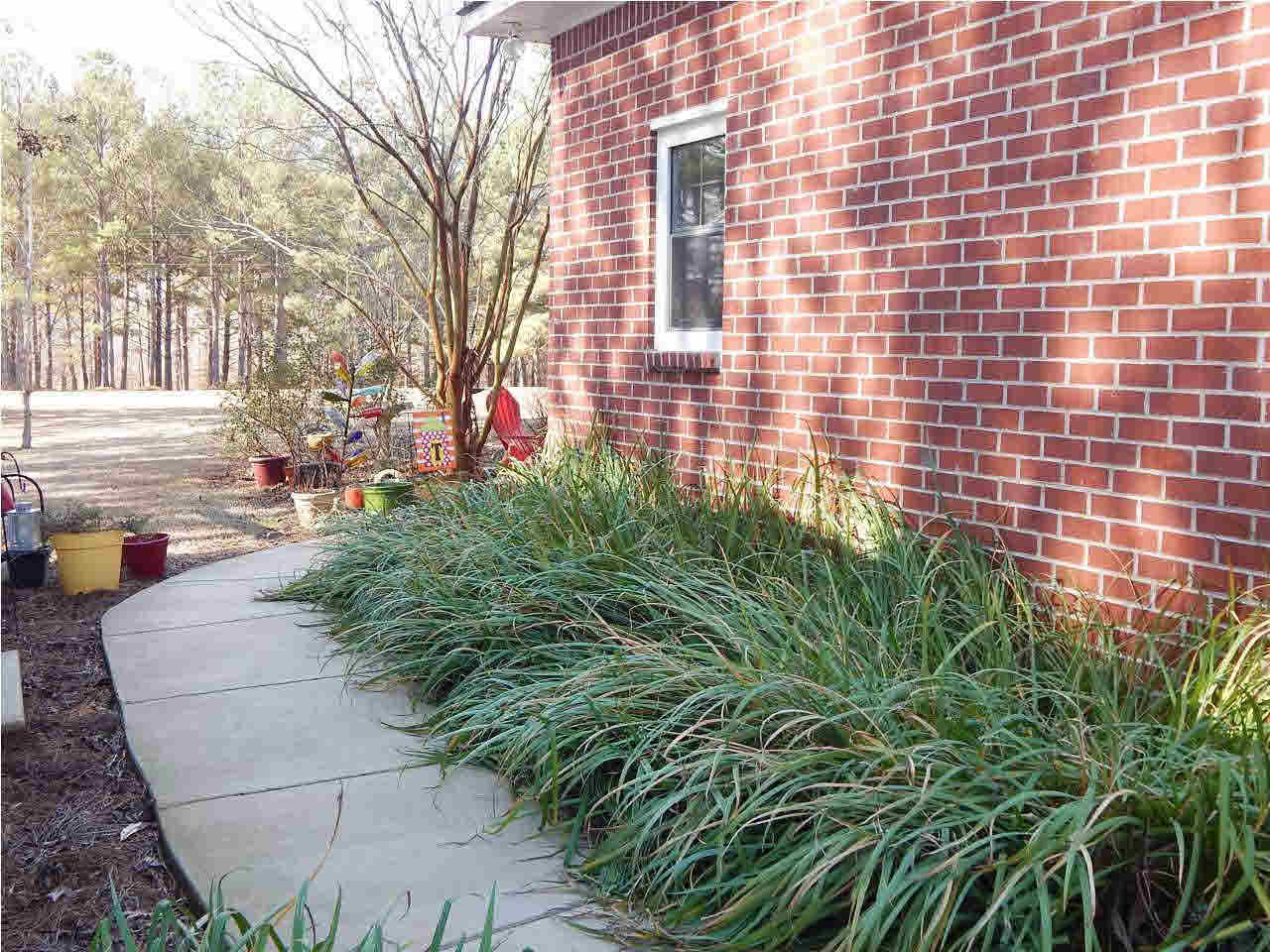 97 River Hill Road Carthage, MS 39051 - Photo 41 of 45 Concrete Sidewalk around to the Back
