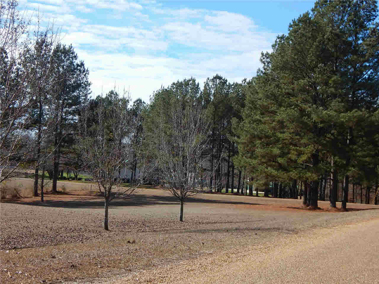 97 River Hill Road Carthage, MS 39051 - Photo 45 of 45 Photo 45