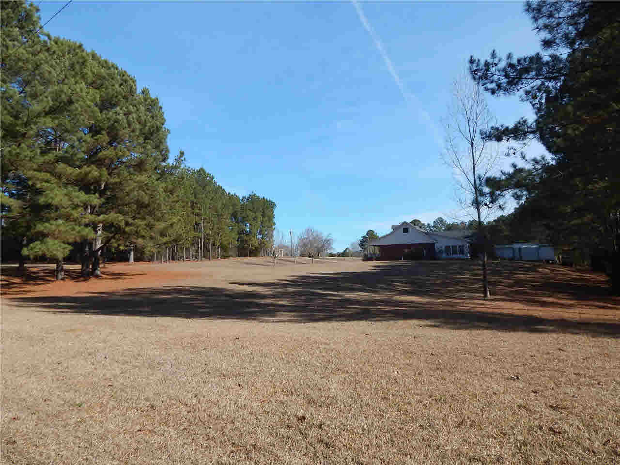 97 River Hill Road Carthage, MS 39051 - Photo 6 of 45 View of the land
