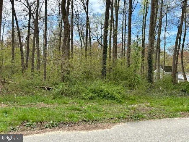 $75,000 | 194 Grays Lane, Magnolia, DE 19962