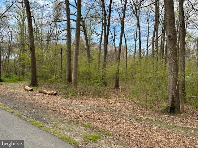 $75,000 | 194 Grays Lane, Magnolia, DE 19962