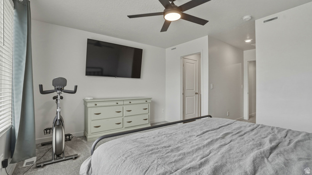 1418 Castillo Road Spanish Fork, UT 84660 - Photo 21 of 40