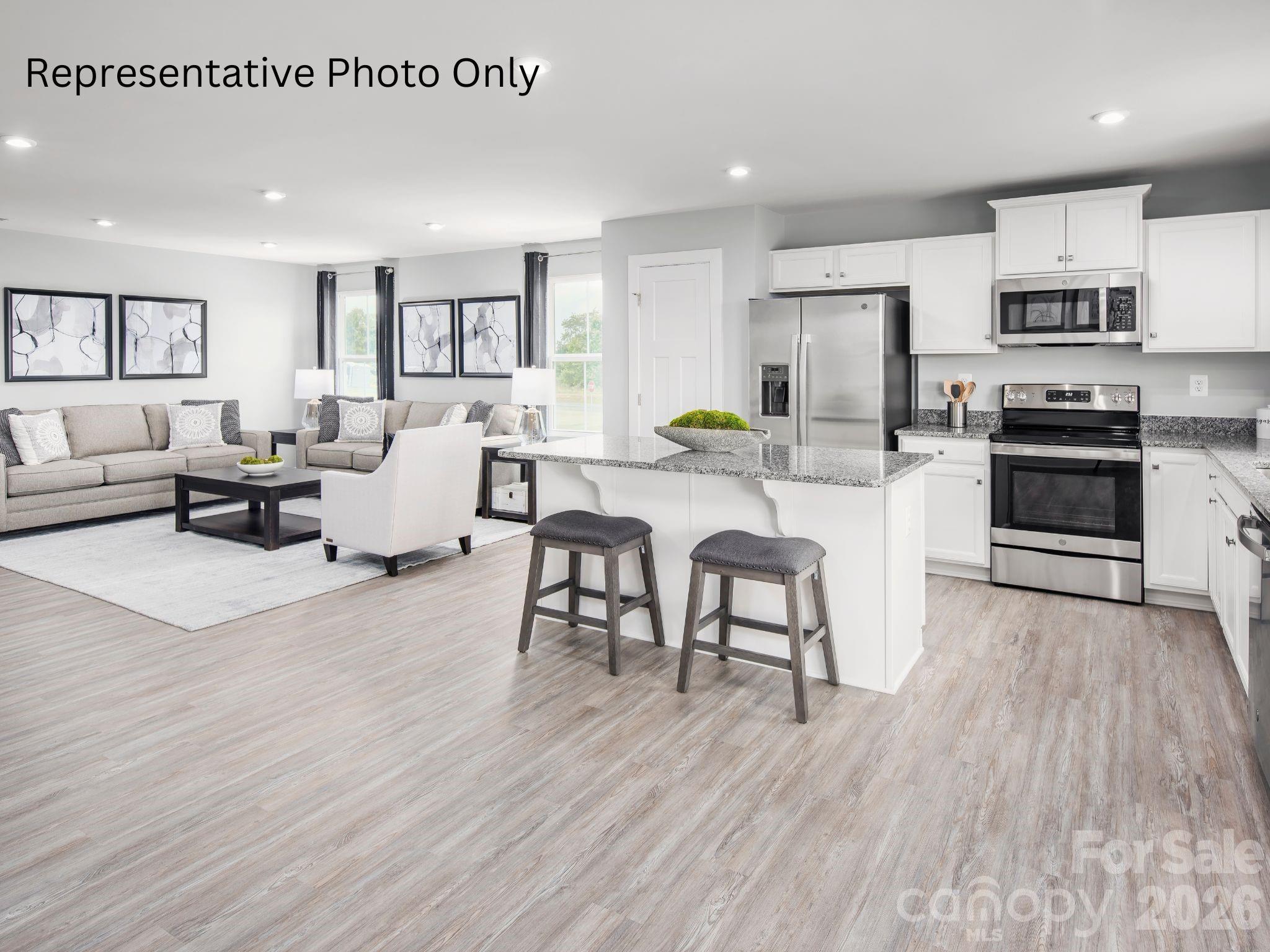 161 Lady Catherine Street Lancaster, SC 29720 - Photo 3 of 7