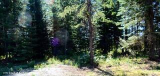 L2-b4 South Kula Road Harrison, ID 83833 - Photo 6 of 10 DSC_2308