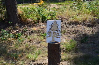 L2-b4 South Kula Road Harrison, ID 83833 - Photo 9 of 10 DSC_2305