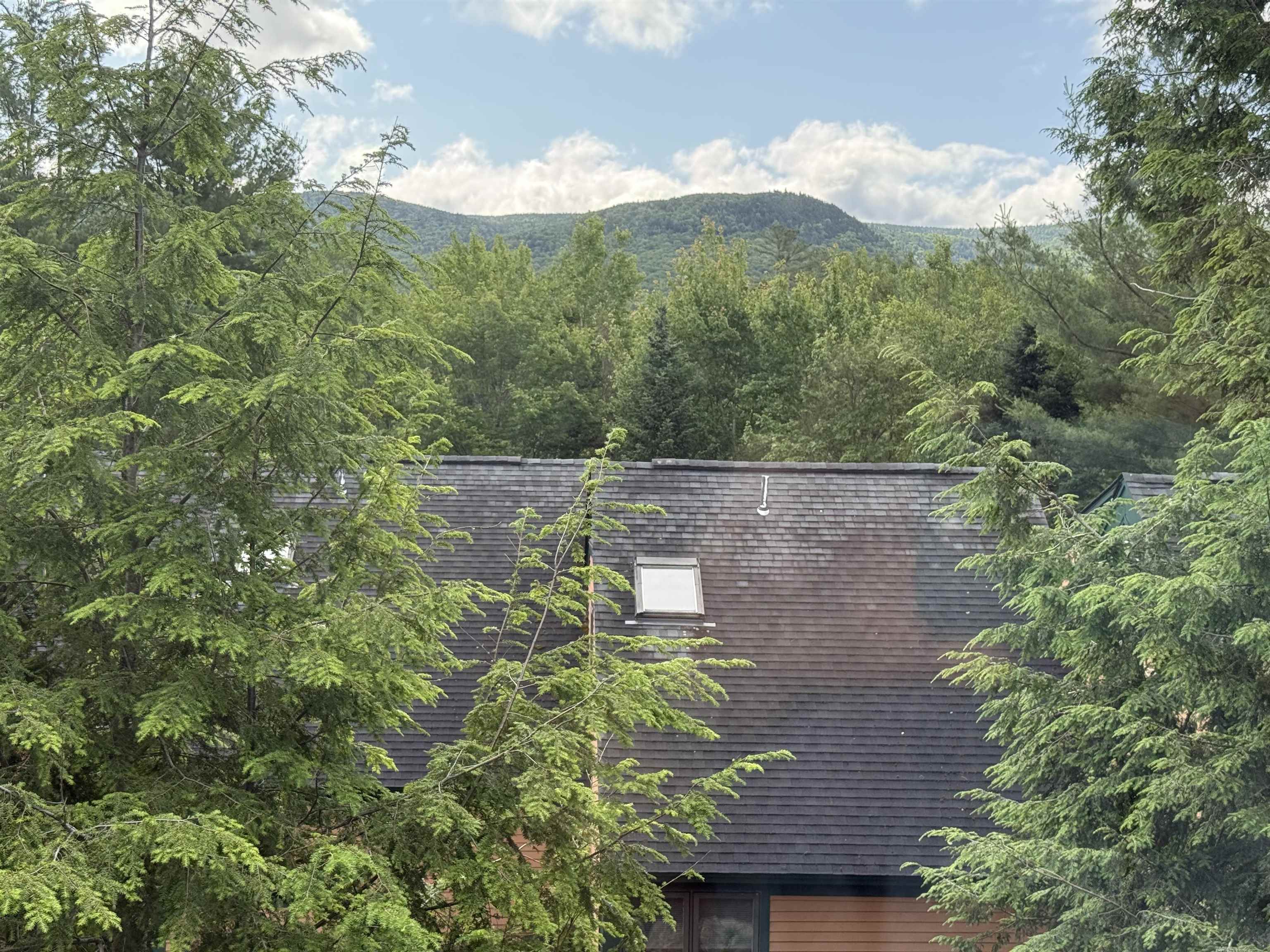 13 Mountain Sun Way, Unit 14A Waterville Valley, NH 03215 - Photo 18 of 25