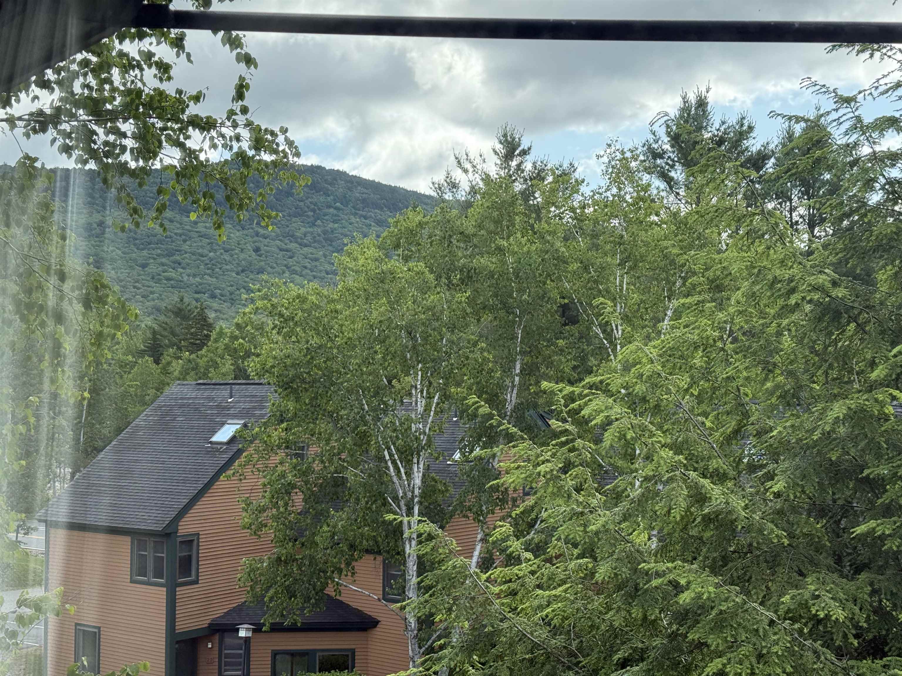 13 Mountain Sun Way, Unit 14A Waterville Valley, NH 03215 - Photo 19 of 25