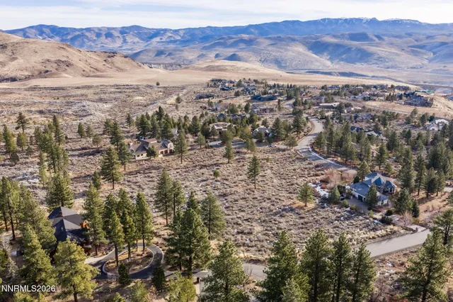 a view of a city with lots of trees