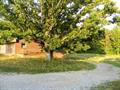 1266 Phillips Road White Pine, TN 37890 - Photo 3 of 15 LAAR557155B