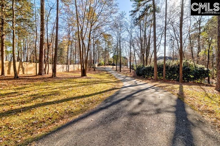 2016 Amicks Ferry Road Chapin, SC 29036 - Photo 7 of 47