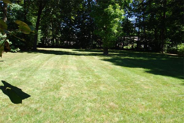 61 Rivercliff Road Lowell, MA 01852 - Photo 7 of 29 Gallery Image 7