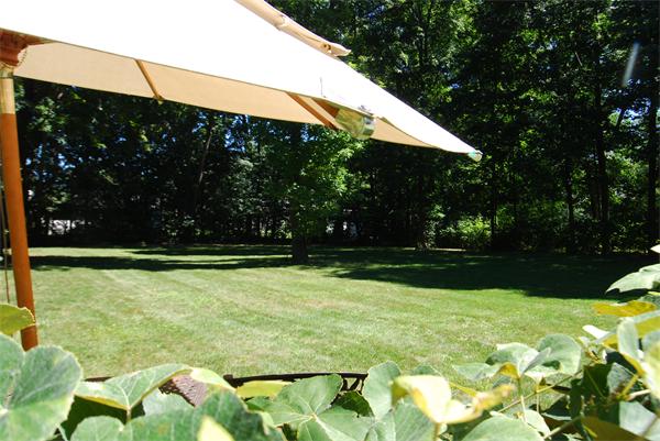 61 Rivercliff Road Lowell, MA 01852 - Photo 8 of 29 Gallery Image 8