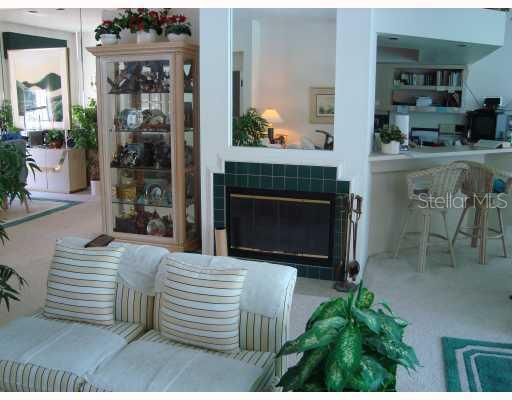 Other - Fireplace