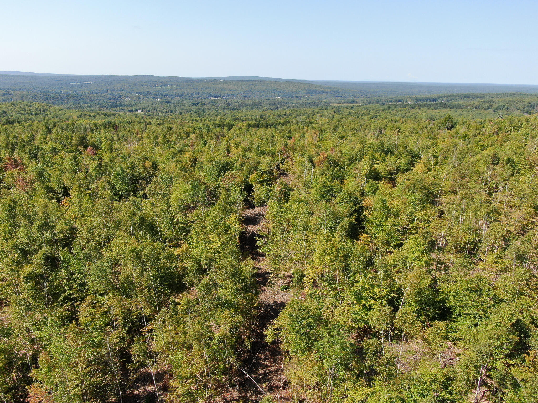 Lot 7 Chadwick Pt Road Weston, ME 04424 - Photo 4 of 18 DJI_0744