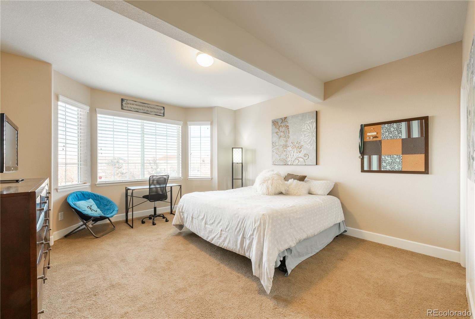 10495 Skyreach Road Highlands Ranch, CO 80126 - Photo 21 of 40 Gallery Image 21