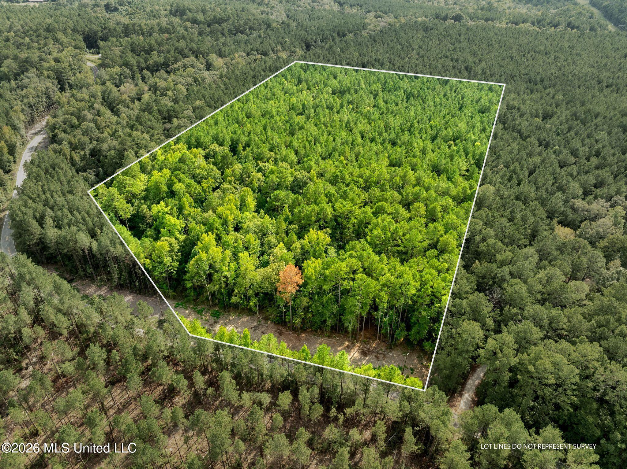 15-acres Porter Hudson Road Sumrall, MS 39482 - Photo 1 of 16 0_Porter_Hudson_Rd-1