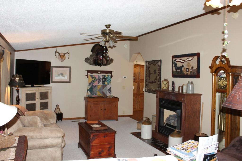 7859 Springwood Road Buchanan, VA 24066 - Photo 4 of 21 Liv Rm4
