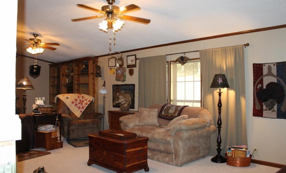7859 Springwood Road Buchanan, VA 24066 - Photo 5 of 21 Liv Rm3
