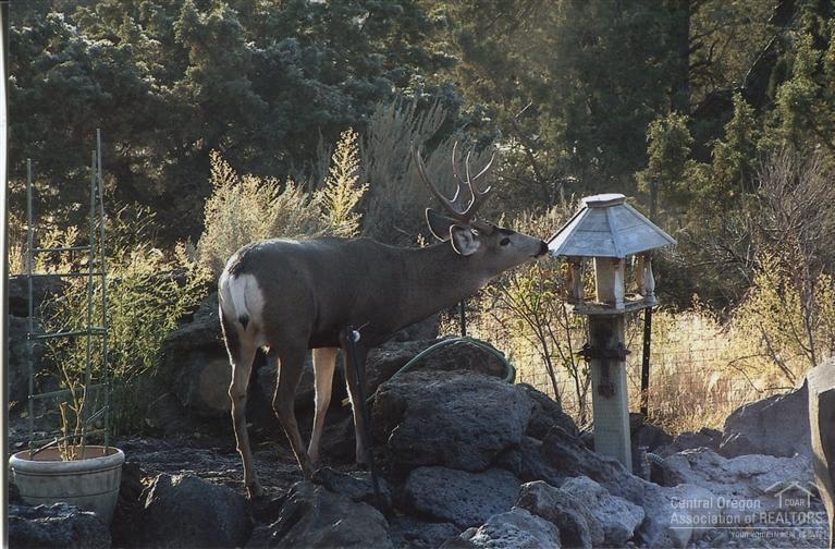 10108 Northwest Rocky Road Powell Butte, OR 97753 - Photo 21 of 22 Additional Photo