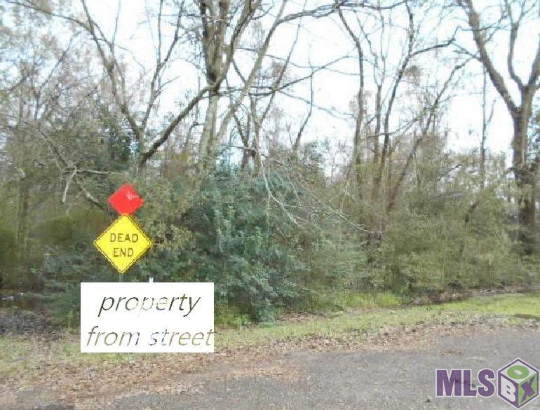 0 Jessie Road Prairieville, LA 70769 - Photo 1 of 4 Gallery Image 1