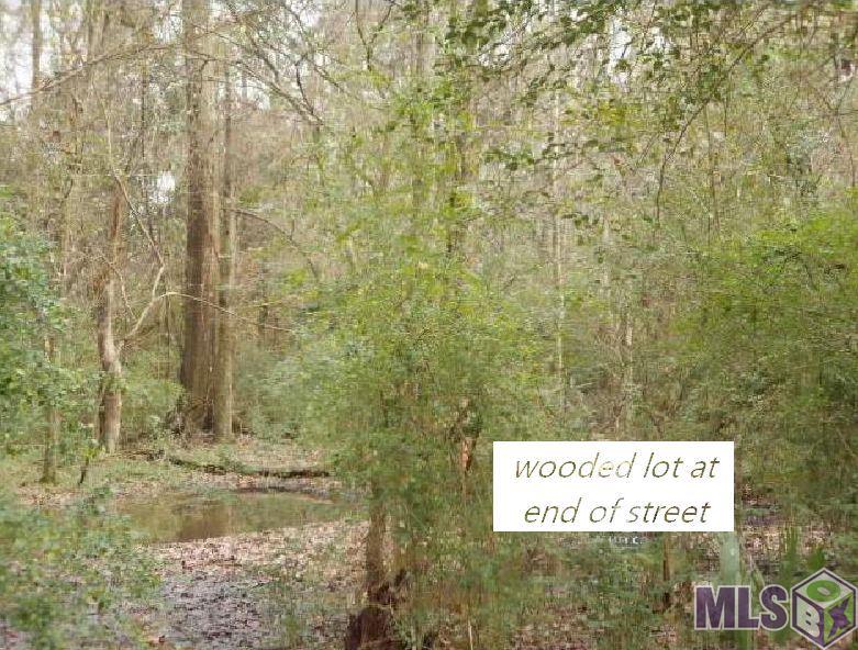 0 Jessie Road Prairieville, LA 70769 - Photo 2 of 4 Gallery Image 2