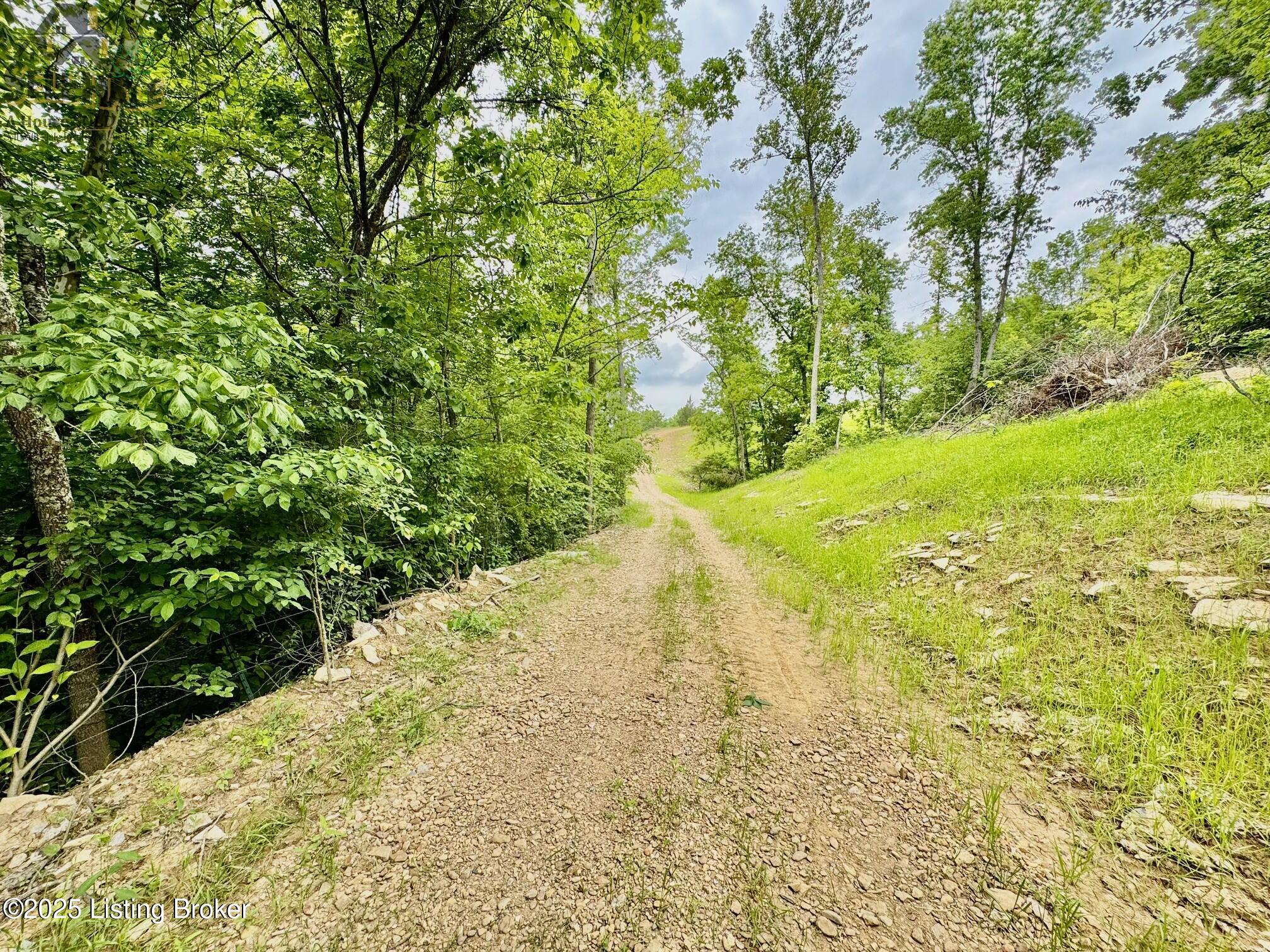 2 Polin Road Willisburg, KY 40078 - Photo 17 of 17 IMG_2876 (1)