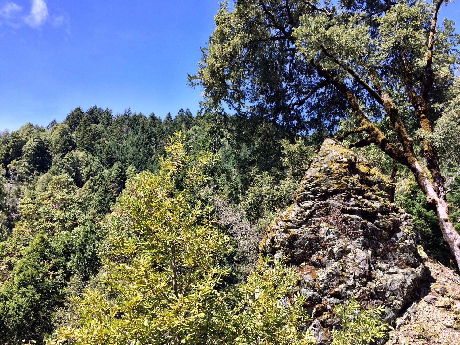 40-acres Berg Road Blue Lake, CA 95525 - Photo 2 of 4