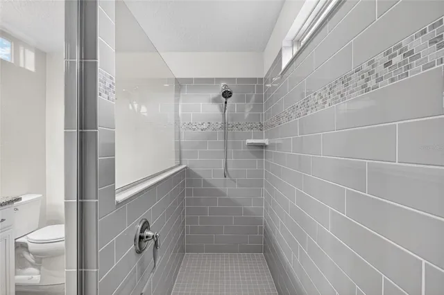 a bathroom with a shower and a toilet