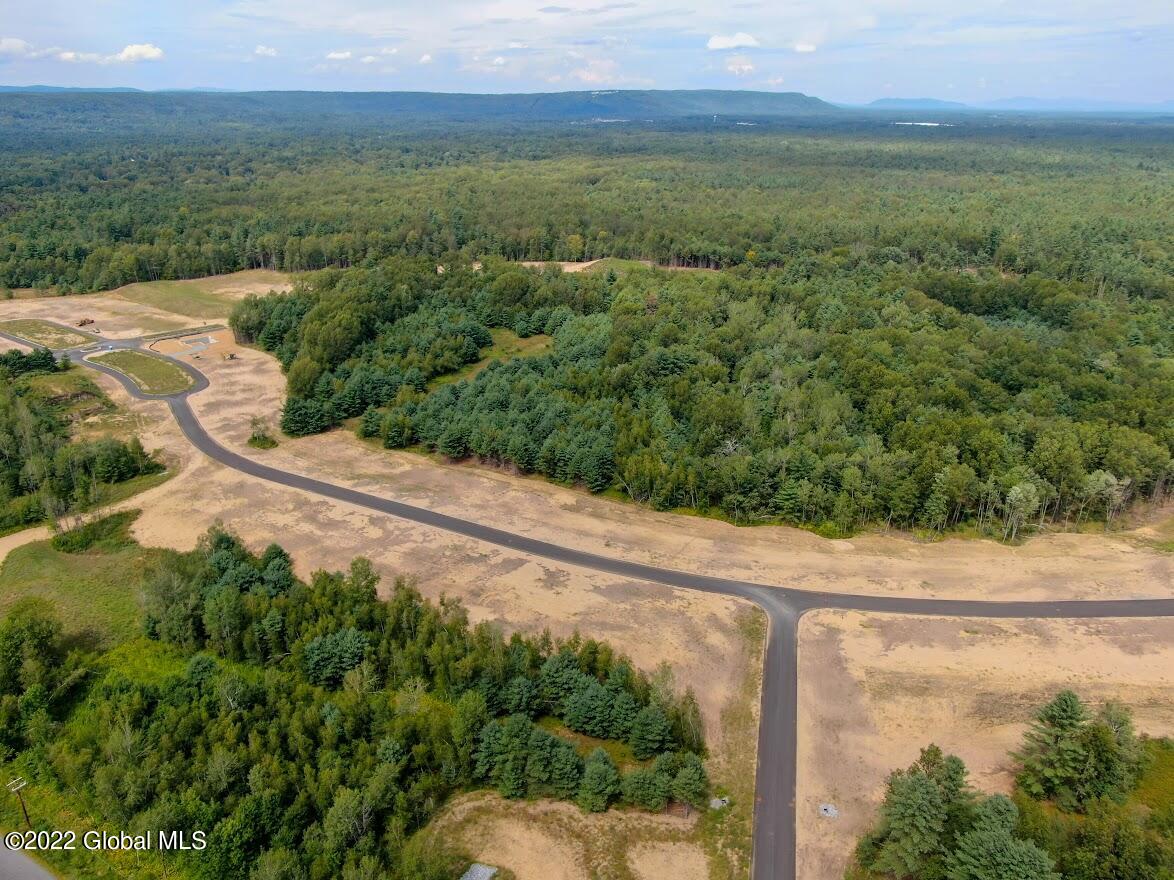 7 Ocala Court Wilton, NY 12866 - Photo 5 of 22 Daintree