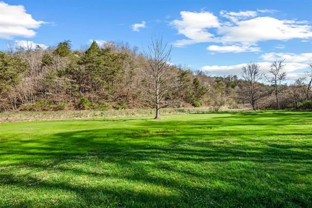 426 Davis Path Road Atkins, VA 24311 - Photo 9 of 56 Gallery Image 9