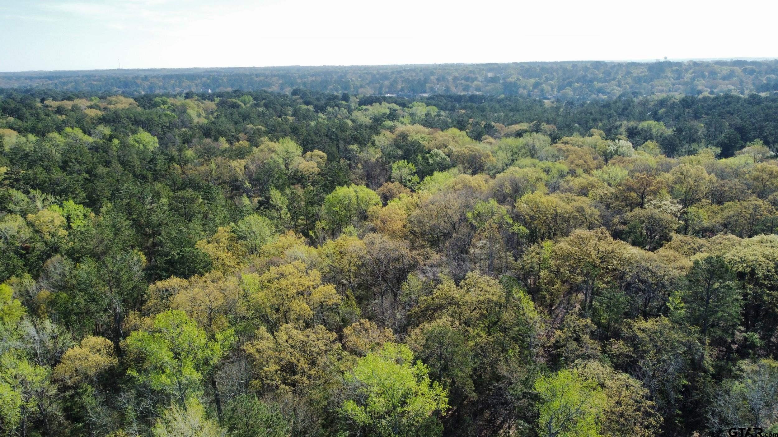 0 C R 434 Lindale, TX 75771 - Photo 17 of 29